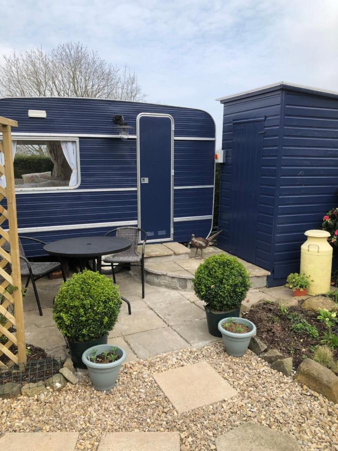 Down The Garden Path Vintage Caravan B&B , Dartmoor Newton Abbot Eksteriør bilde