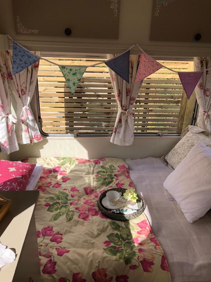 Down The Garden Path Vintage Caravan B&B , Dartmoor Newton Abbot Eksteriør bilde