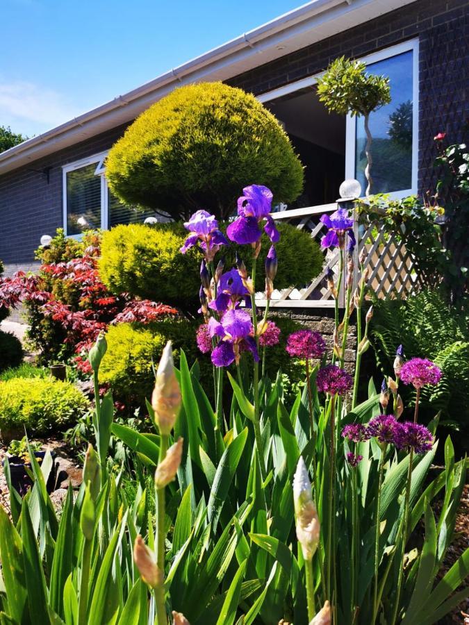 Down The Garden Path Vintage Caravan B&B , Dartmoor Newton Abbot Eksteriør bilde