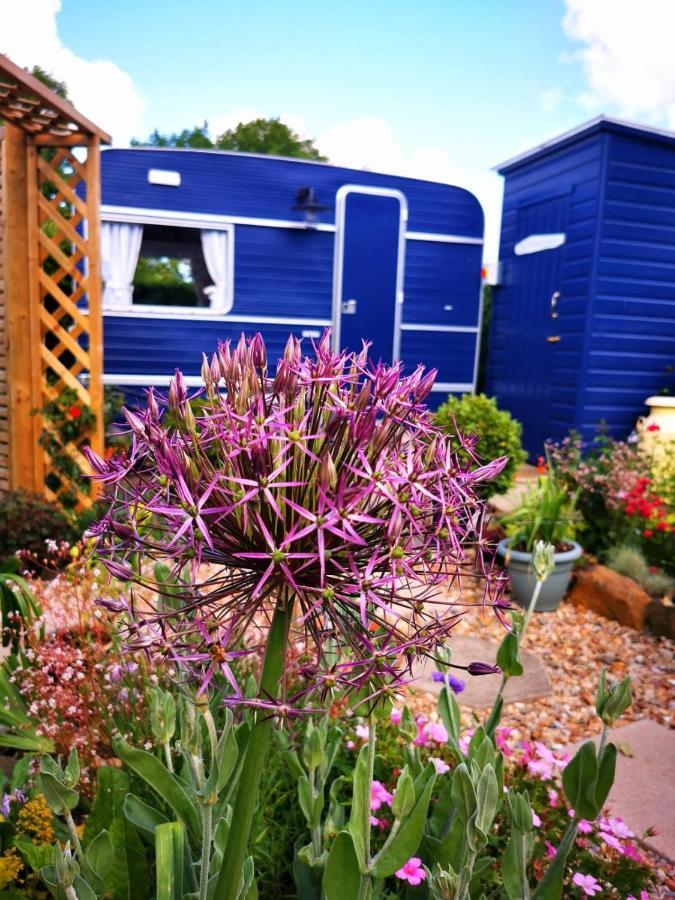 Down The Garden Path Vintage Caravan B&B , Dartmoor Newton Abbot Eksteriør bilde