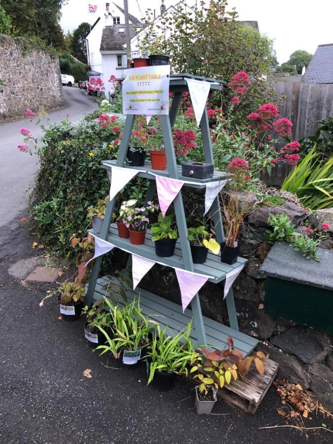 Down The Garden Path Vintage Caravan B&B , Dartmoor Newton Abbot Eksteriør bilde